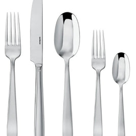 Flat Stainless Five Piece Place Setting