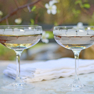 Truro Platinum Classic Coupe Glass Set/2