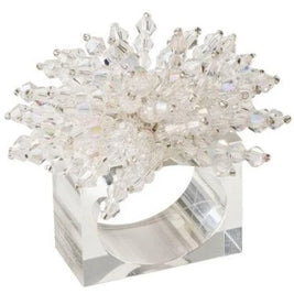 Brilliant Napkin Ring in Clear Set/4