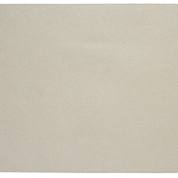 Skate Pearl Rectangle Placemat Set/4