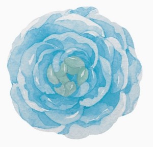 Rose Vinyl Placemat Aqua Set/4