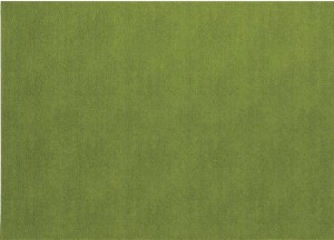 Presto Rectangle Placemat Grass Set/4