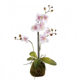 Real Touch Light Pink Orchid in Moss Ball